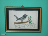 পুতি বসা দোয়েল পাখির ওয়ালমেট